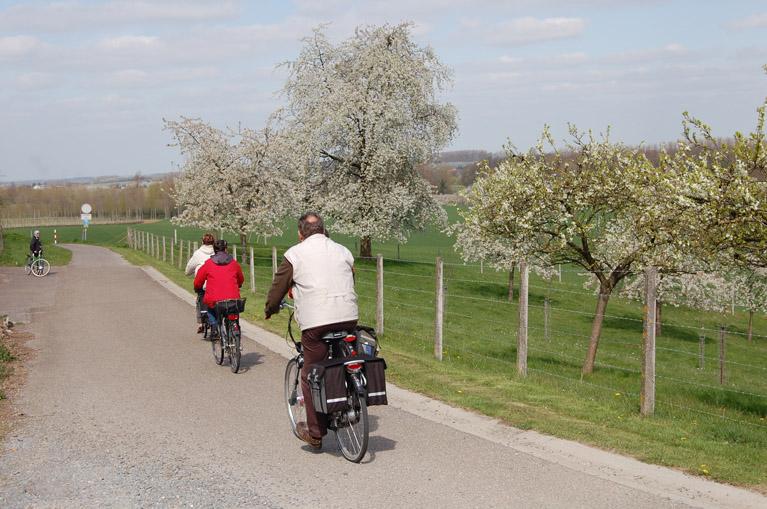 cyclistes sur la route de Hasselt
